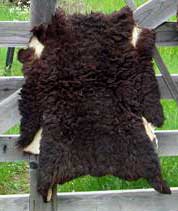 Tanned Sheep Hides